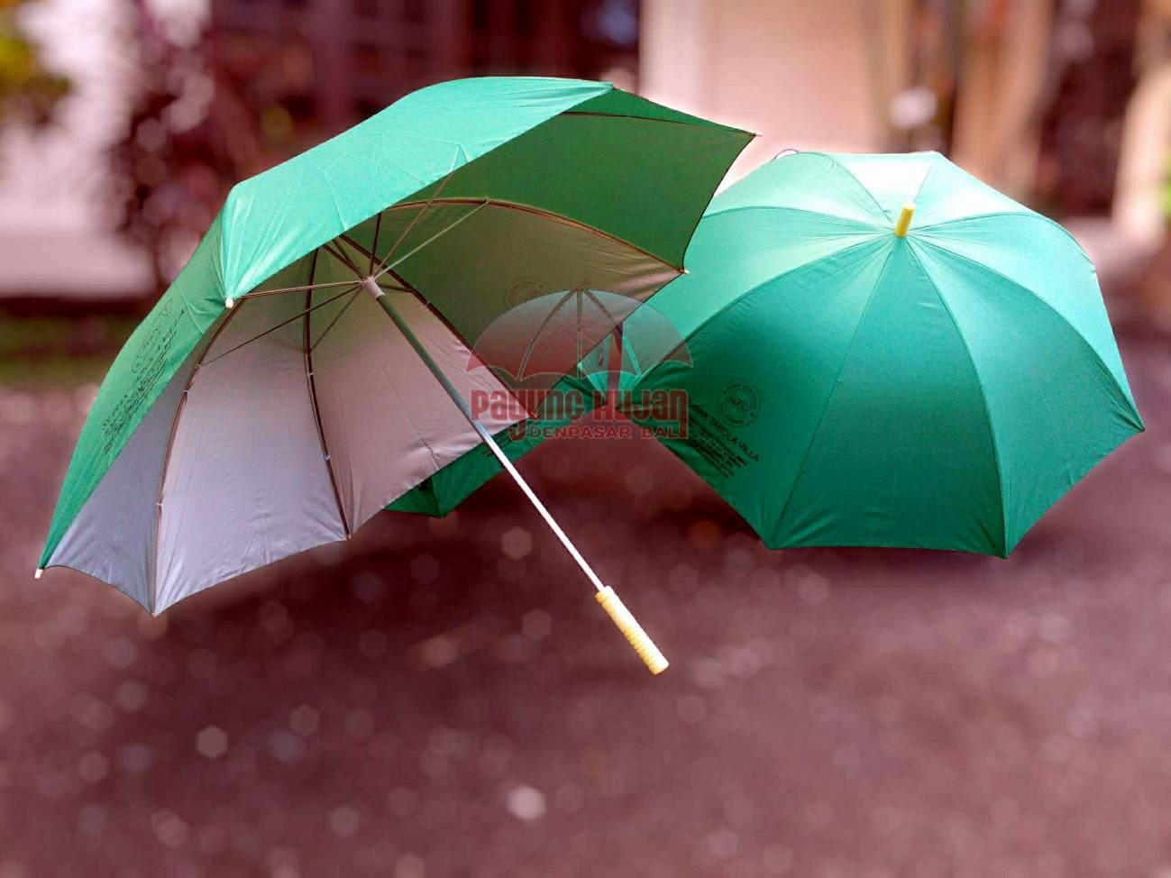 Payung Hijau Subak Tabola Villa