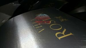 payung hujan villa rosita